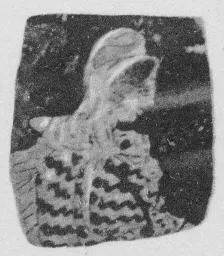 CUP, FRAGMENT (ATHENIAN, RED-FIGURE)