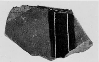 AMPHORA, PANATHENAIC PRIZE, FRAGMENT (ATHENIAN, BLACK-FIGURE)
