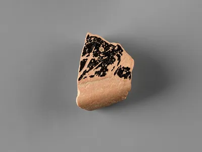 Attic Red-Figure Kylix Fragment