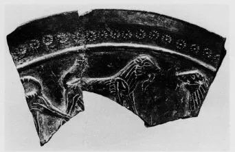 FRAGMENTS (ETRUSCAN, BUCCHERO)