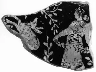 PYXIS, FRAGMENT (ATHENIAN, RED-FIGURE)