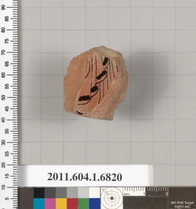 Terracotta fragment of a kylix (drinking cup)