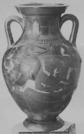 AMPHORA, BELLY, TYPE B (ATHENIAN, BLACK-FIGURE)