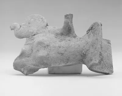 Female Head