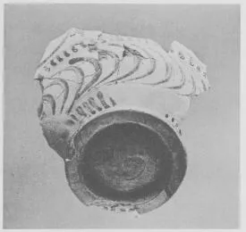 AMPHORA, NECK, FRAGMENT (EAST GREEK, FIKELLURA)