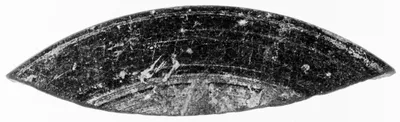 Undecorated Base Fragment