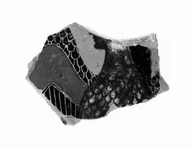 Attic Black-Figure Lip Cup Fragment