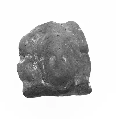 Female Head