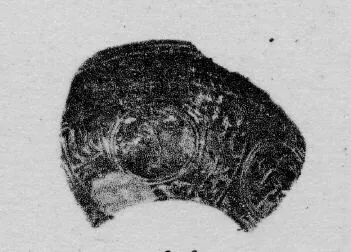 BOWL, FRAGMENT (GALLO-ROMAN, RELIEF)