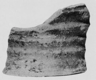 FRAGMENT (MINOAN)