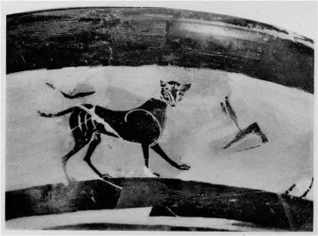 CUP, LITTLE MASTER BAND, FRAGMENTS (ATHENIAN, BLACK-FIGURE)