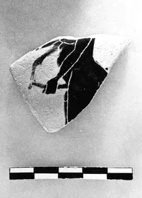CUP, SIANA, FRAGMENT (ATHENIAN, BLACK-FIGURE)