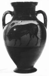 AMPHORA, BELLY, TYPE B (ATHENIAN, BLACK-FIGURE)