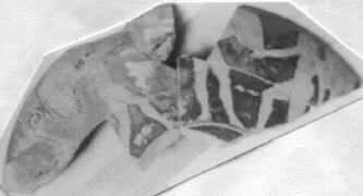 CUP, FRAGMENTS (ATHENIAN, RED-FIGURE)
