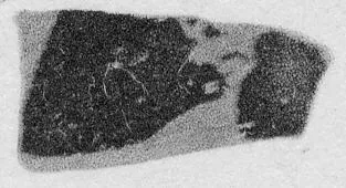 FRAGMENT (ATHENIAN, RED-FIGURE)