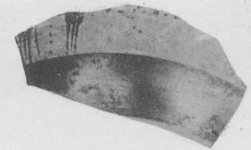CUP, LITTLE MASTER BAND, FRAGMENT (ATHENIAN, BLACK-FIGURE)