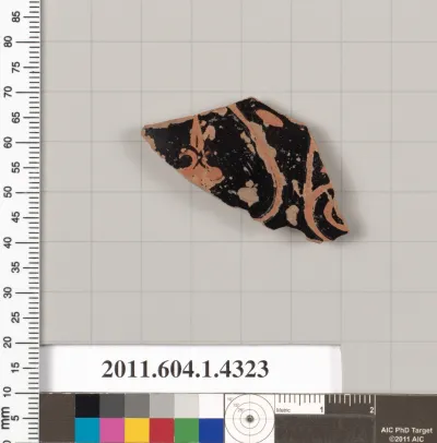 Terracotta fragment of a kylix (drinking cup)