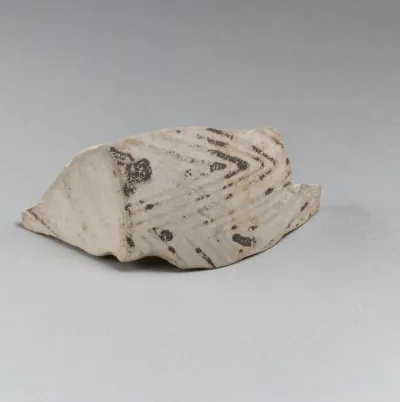 Vase fragment