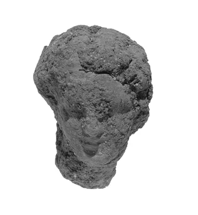 Head with Melon Coiffure