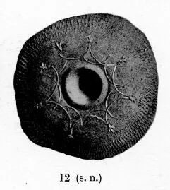 CUP (SOUTH ITALIAN, CAMPANIAN, BLACK GLAZE)