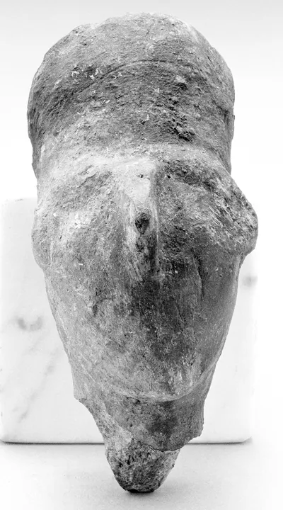 Human Head