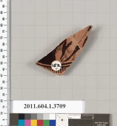 Terracotta fragment of a kylix (drinking cup)