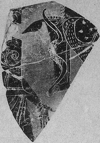 AMPHORA, BELLY, FRAGMENT (ATHENIAN, BLACK-FIGURE)