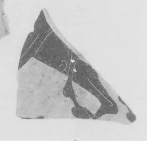 CUP, FRAGMENT (ATHENIAN, BLACK-FIGURE)