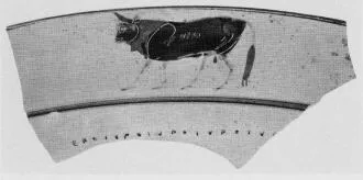 CUP, LITTLE MASTER LIP, FRAGMENT (ATHENIAN, BLACK-FIGURE)