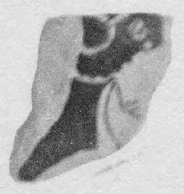 CUP, FRAGMENT (ATHENIAN, RED-FIGURE)