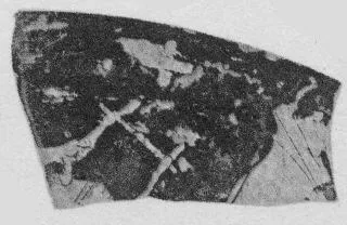 CUP, FRAGMENT (ATHENIAN, RED-FIGURE)
