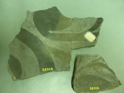 vase ; fragment