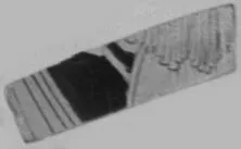 CUP, FRAGMENT (ATHENIAN, RED-FIGURE)