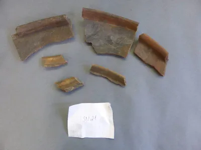 plat ; fragment