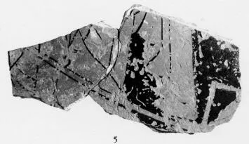 AMPHORA (?), FRAGMENT (ATHENIAN, RED-FIGURE)