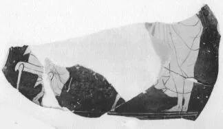 FRAGMENT (ATHENIAN, RED-FIGURE)