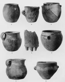 VARIOUS (VUCEDOL)