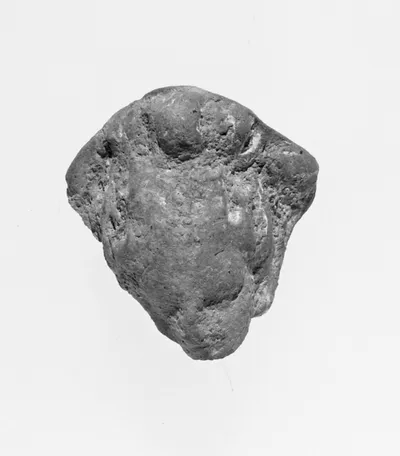 Female Head