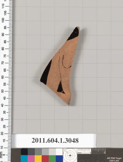 Terracotta fragment of a kylix (drinking cup)