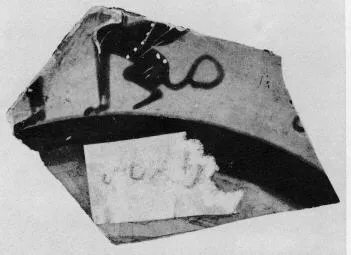 CUP, LITTLE MASTER BAND, FRAGMENTS (ATHENIAN, BLACK-FIGURE)
