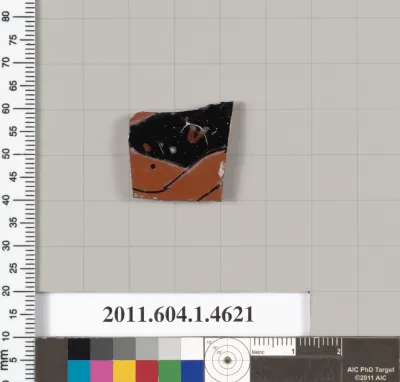 Terracotta fragment of a kylix (drinking cup)