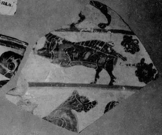 LEBES, FRAGMENT (ATHENIAN, BLACK-FIGURE)