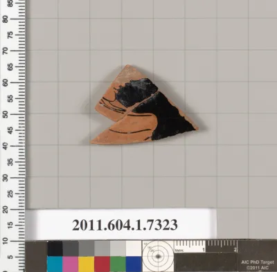 Terracotta fragment of a kylix (drinking cup)