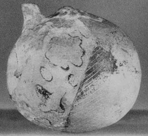 ARYBALLOS (CORINTHIAN, BLACK-FIGURE)