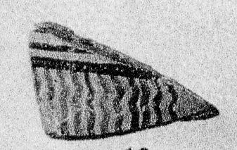 KRATER, FRAGMENT (PROTOATTIC)