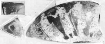 CUP, FRAGMENTS (ATHENIAN, RED-FIGURE)