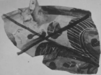 LEKANIS, FRAGMENT (ATHENIAN, BLACK-FIGURE)