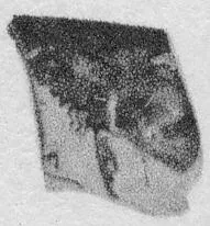CUP, FRAGMENT (ATHENIAN, RED-FIGURE)