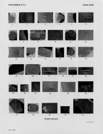 VARIOUS (TERRA SIGILLATA)