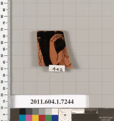 Terracotta fragment of a kylix (drinking cup)